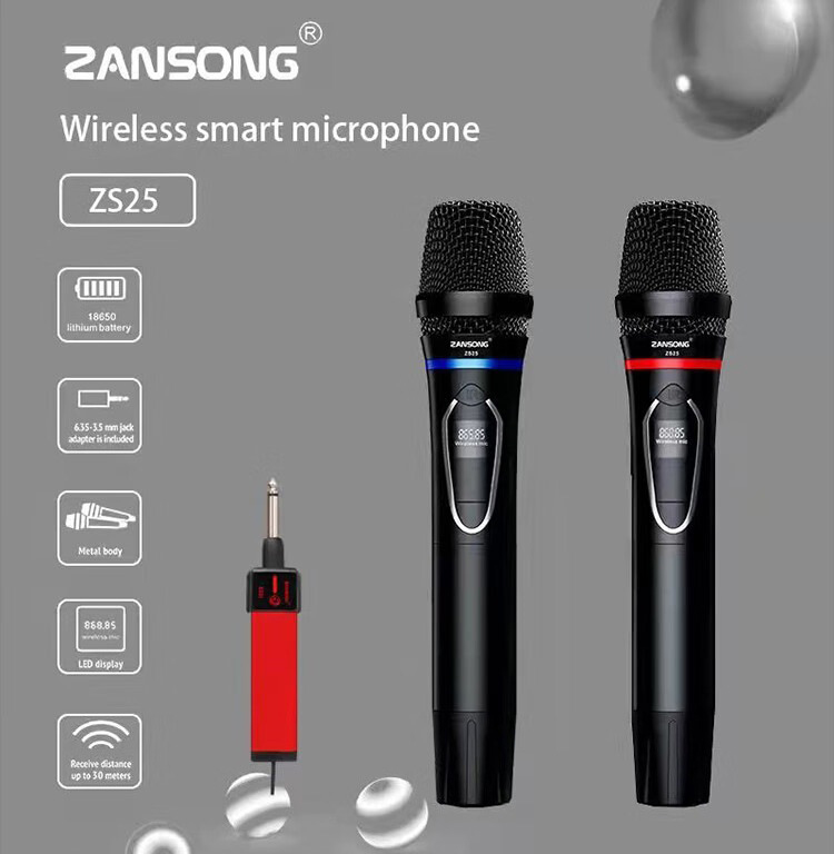 ZANSONG ZS25